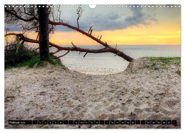 Produktbild: Fischland - Dar&szlig;- Zingst (Wandkalender 2026 DIN A3 quer), CALVENDO Monatskalender