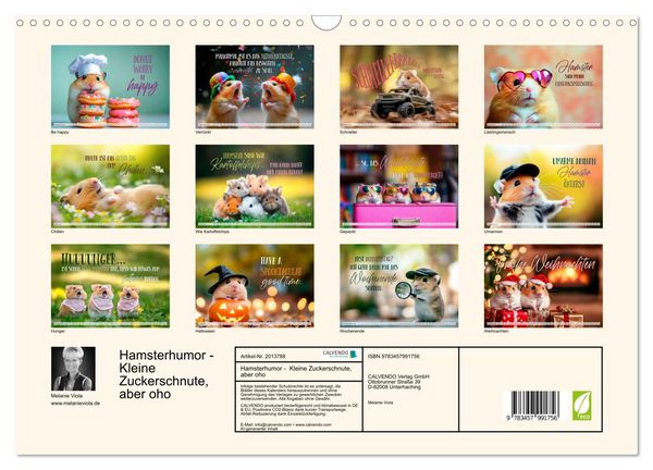 Produktbild: Hamsterhumor - Kleine Zuckerschnute, aber oho (Wandkalender 2026 DIN A3 quer), CALVENDO Monatskalender