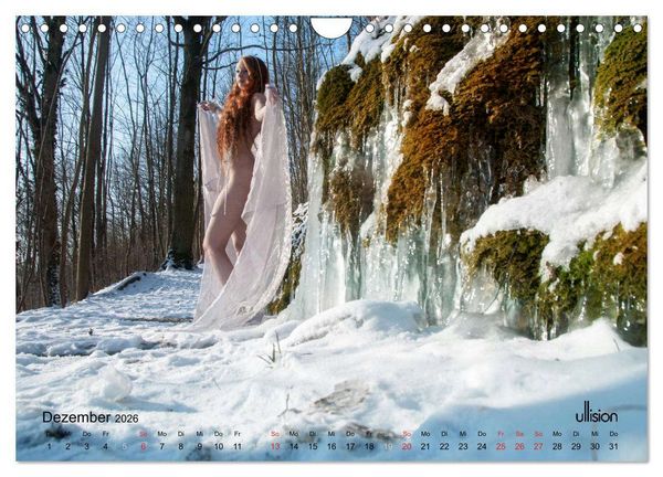 Produktbild: ZAUBERWALD Mystik der Natur (Wandkalender 2026 DIN A4 quer), CALVENDO Monatskalender