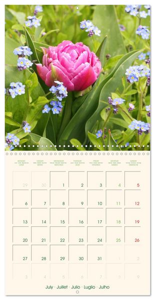 Produktbild: Tulipes charmantes et fra&icirc;ches (Calendrier mural carr&eacute; 2026 30x30 cm) Calendrier double avec une page pour vos prises de notes