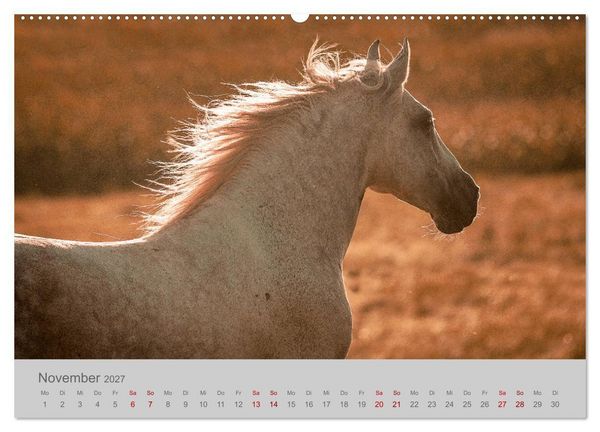 Produktbild: Pferde - Anmut, Eleganz, Magie (hochwertiger Premium Wandkalender 2027 DIN A2 quer), Kunstdruck in Hochglanz