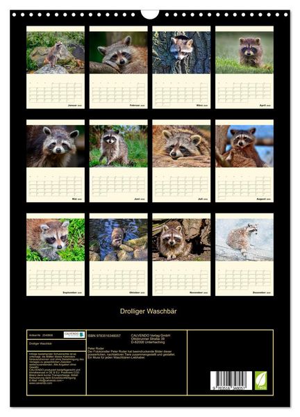 Produktbild: Drolliger Waschb&auml;r (Wandkalender 2026 DIN A3 hoch), CALVENDO Monatskalender