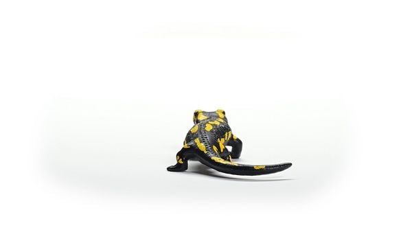 Produktbild: schleich&reg; 14870 Feuersalamander