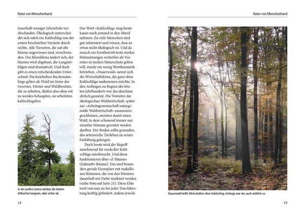Produktbild: Menschenspuren im Wald