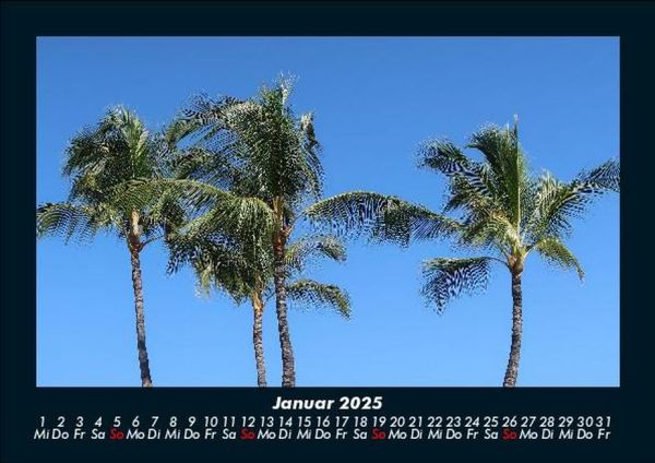 Produktbild: Pflanzen und Bl&uuml;ten 2025 Fotokalender DIN A5