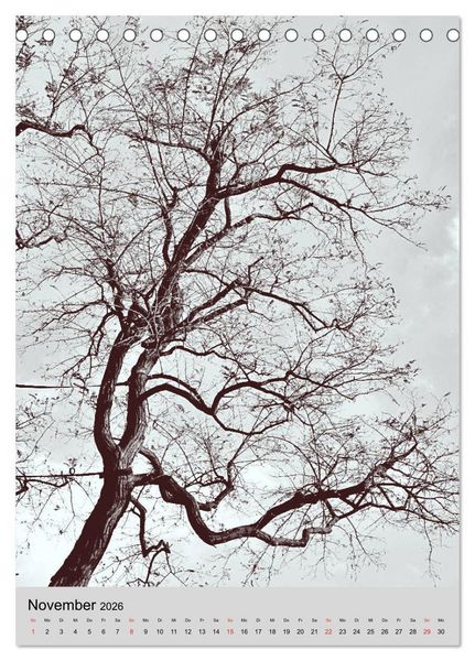 Produktbild: Natur monochrom Die besondere Wirkung (Tischkalender 2026 DIN A5 hoch), CALVENDO Monatskalender