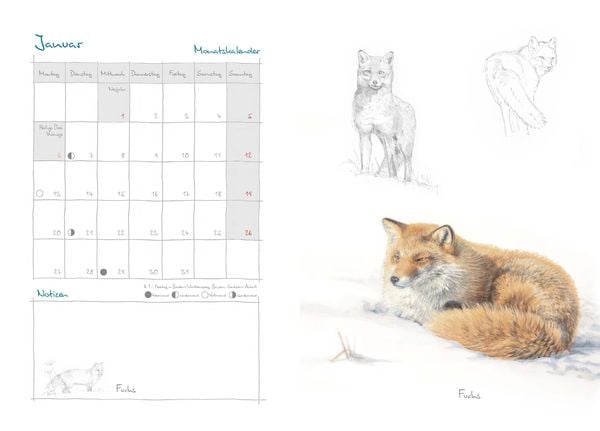 Produktbild: Mein Naturkalender 2025