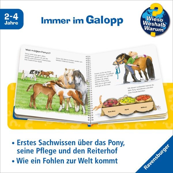 Das Pony / Wieso? Weshalb? Warum? Junior Bd. 20