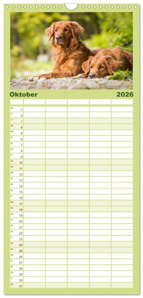 Produktbild: Familienplaner 2026 - Toller - Nova Scotia Duck Tolling Retriever mit 5 Spalten (Wandkalender, 21 x 45 cm) CALVENDO