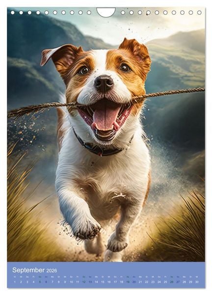 Produktbild: Hunde mit Temperament (Wandkalender 2026 DIN A4 hoch), CALVENDO Monatskalender