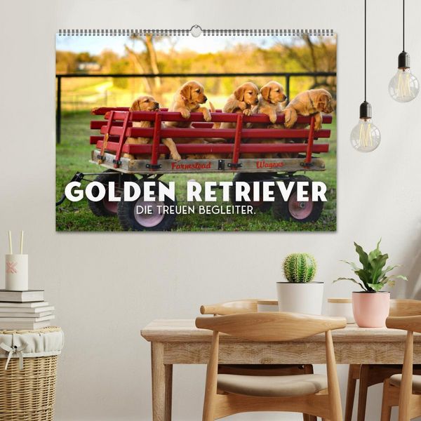 Produktbild: Golden Retriever - Die treuen Begleiter. (Wandkalender 2026 DIN A2 quer), CALVENDO Monatskalender
