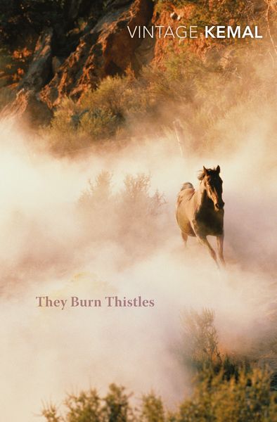 Produktbild: They Burn Thistles