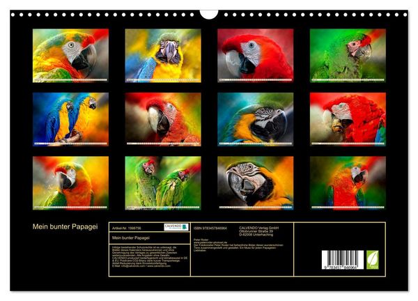 Produktbild: Mein bunter Papagei (Wandkalender 2026 DIN A3 quer), CALVENDO Monatskalender