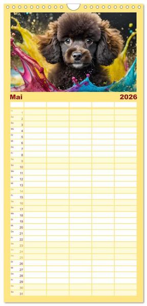 Produktbild: Familienplaner 2026 - Splash - Hunde im Farbrausch mit 5 Spalten (Wandkalender, 21 x 45 cm) CALVENDO
