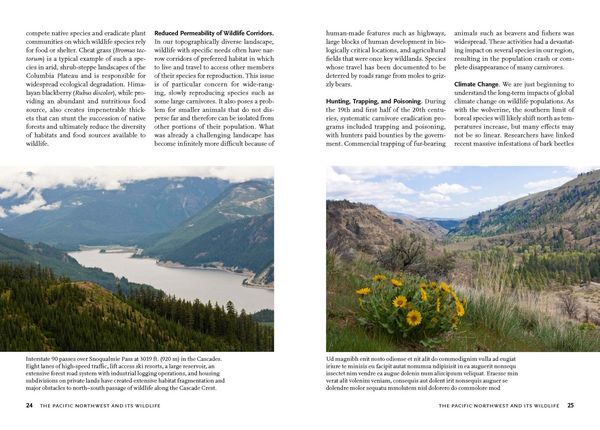 Produktbild: Wildlife of the Pacific Northwest