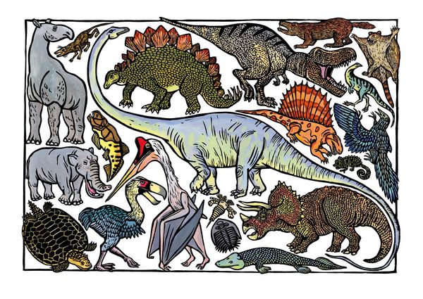 Produktbild: Zoo-ologie