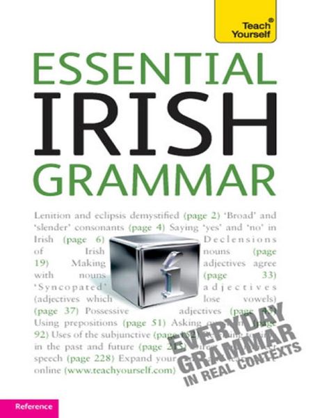 Produktbild: Essential Irish Grammar: Teach Yourself