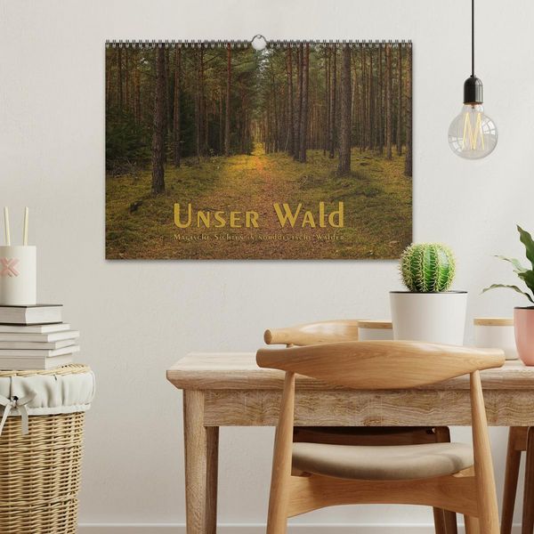 Produktbild: Unser Wald - Magische Sichten in norddeutsche W&auml;lder (Wandkalender 2026 DIN A3 quer), CALVENDO Monatskalender