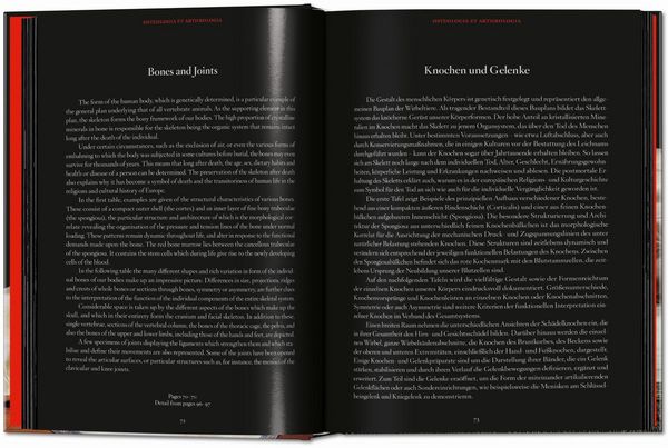 Produktbild: Anatomical Waxes. 45th Ed.