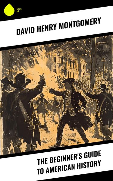 Produktbild: The Beginner's Guide to American History
