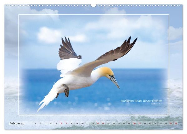 Produktbild: Insel Gedanken (hochwertiger Premium Wandkalender 2027 DIN A2 quer), Kunstdruck in Hochglanz