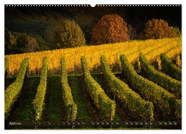 Produktbild: Wein - Landschaften (Wandkalender 2026 DIN A2 quer), CALVENDO Monatskalender
