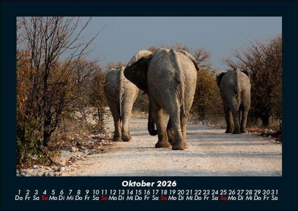 Produktbild: Der Elefantenkalender 2026 Fotokalender DIN A5