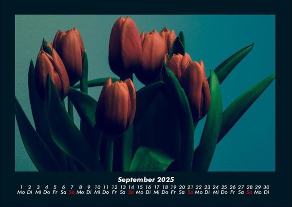 Produktbild: Blumenkalender 2025 Fotokalender DIN A4