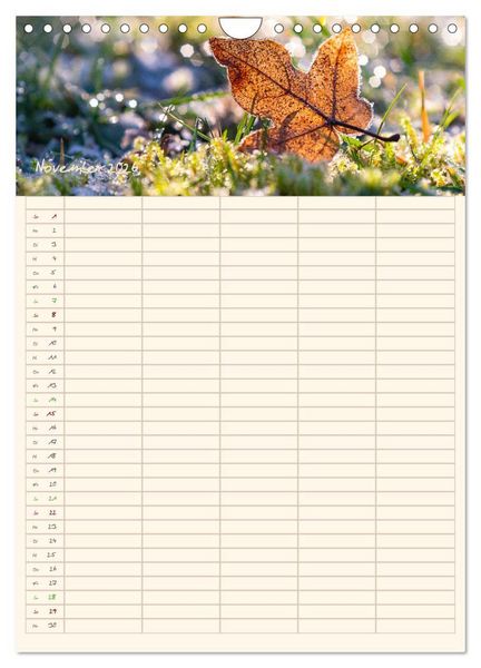 Produktbild: Mit Blick in den Garten (Wandkalender 2026 DIN A4 hoch), CALVENDO Monatskalender