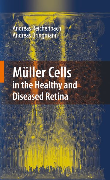 Produktbild: M&uuml;ller Cells in the Healthy and Diseased Retina
