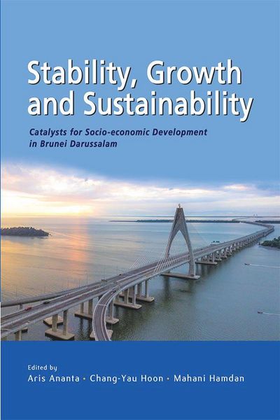 Produktbild: Stability, Growth and Sustainability