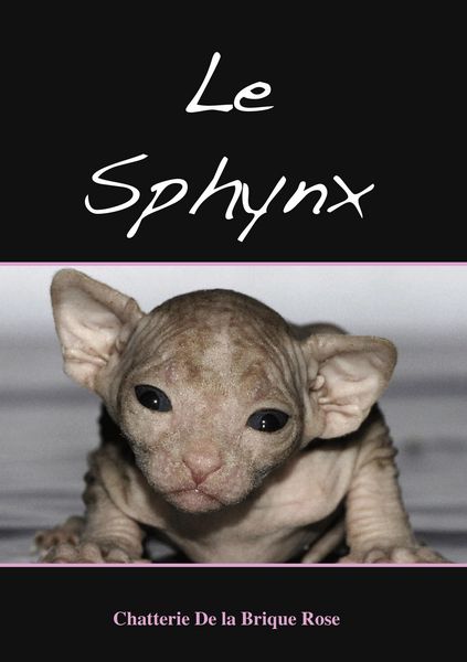 Produktbild: Le sphynx