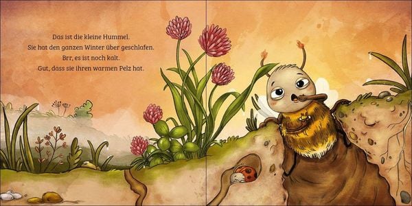 Produktbild: Mein erstes Naturbuch - Die Hummel
