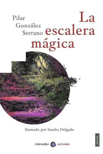 Produktbild: La escalera m&aacute;gica
