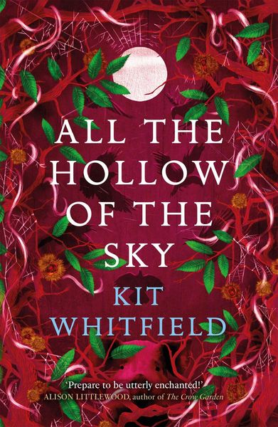 Produktbild: All the Hollow of the Sky