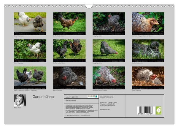 Produktbild: Gartenh&uuml;hner (Wandkalender 2026 DIN A3 quer), CALVENDO Monatskalender