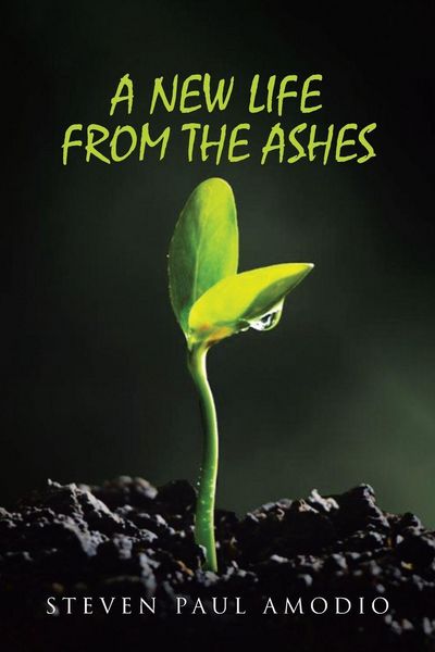 Produktbild: A New Life From The Ashes