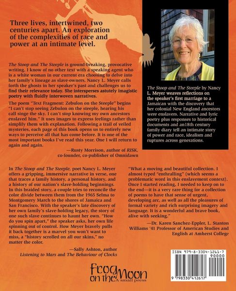 Produktbild: The Stoop And The Steeple