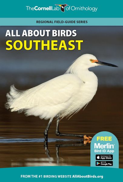 Produktbild: All About Birds Southeast