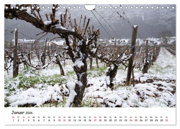 Produktbild: Heimat Entdecken - Die Mosel (Wandkalender 2026 DIN A4 quer), CALVENDO Monatskalender