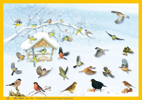 Produktbild: Natur-Kamishibai / Kamishibai - Die V&ouml;gel &ndash; Natur-Kamishibai