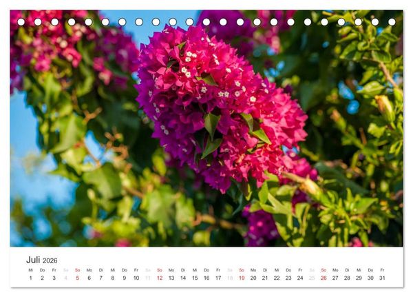Produktbild: Kreta. Im S&uuml;den (Tischkalender 2026 DIN A5 quer), CALVENDO Monatskalender
