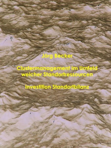 Produktbild: Clustermanagement im Umfeld weicher Standortressourcen