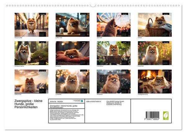 Produktbild: Zwergspitze - kleine Hunde, gro&szlig;e Pers&ouml;nlichkeiten (hochwertiger Premium Wandkalender 2026 DIN A2 quer), Kunstdruck in Hochglanz