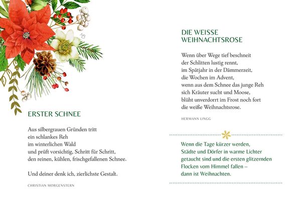 Produktbild: Fröhliche Weihnachten