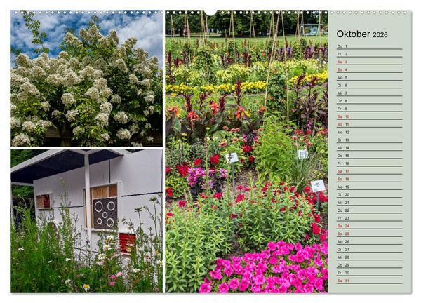 Produktbild: Gartenschau in Erfurt (Wandkalender 2026 DIN A2 quer), CALVENDO Monatskalender
