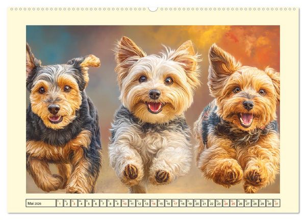 Produktbild: Yorkshire Terrier. Entz&uuml;ckende Minis mit Charme und Witz (hochwertiger Premium Wandkalender 2026 DIN A2 quer), Kunstdruck in Hochglanz