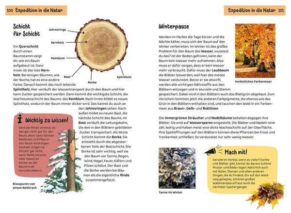 Produktbild: Welcher Baum ist das? Kindernaturf&uuml;hrer