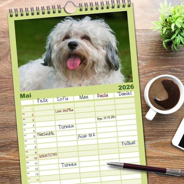 Produktbild: Familienplaner 2026 - Havaneser - Herz auf 4 Pfoten mit 5 Spalten (Wandkalender, 21 x 45 cm) CALVENDO