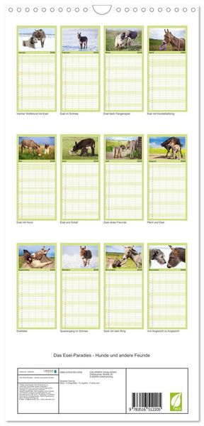 Produktbild: Familienplaner 2026 - Das Esel-Paradies - Hunde und andere Feunde mit 5 Spalten (Wandkalender, 21 x 45 cm) CALVENDO